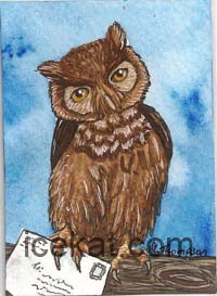 Owl card by IceKat